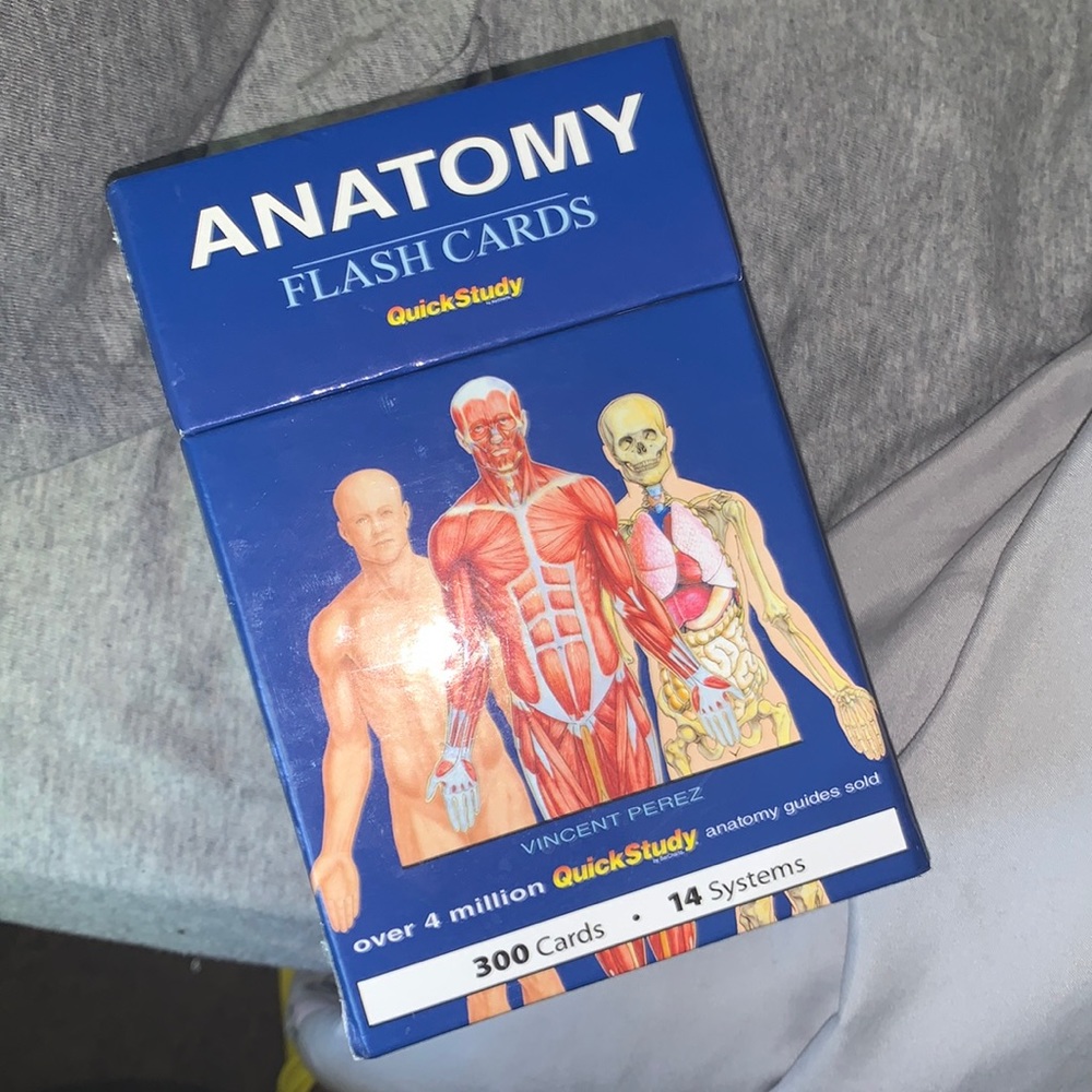 Nursing Students!!!! Anatomy Flashcards